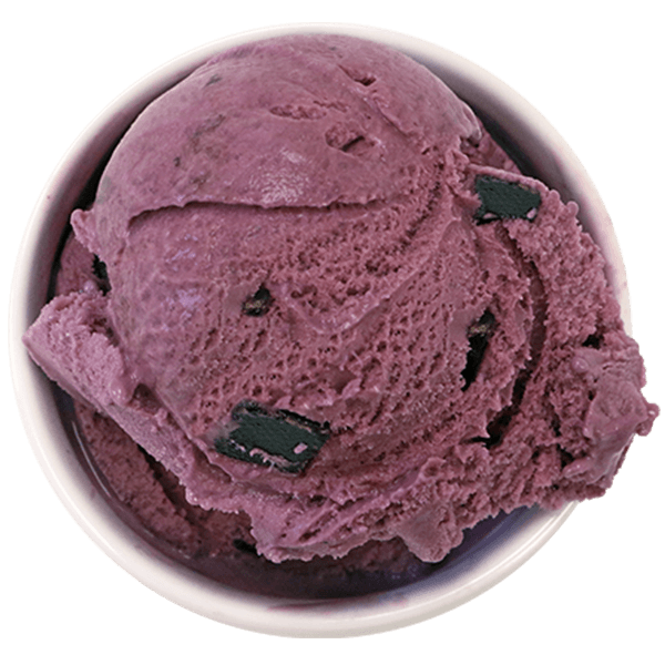 Gifford's Black Raspberry Chocolate Chip Ice Cream